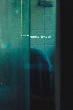 Poster The Normal Spaces (2024)