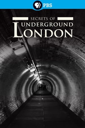 Poster Secrets of Underground London (2014)