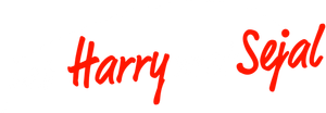 Jab Harry Met Sejal