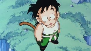 Dragon Ball Kai: 1×5