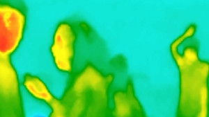 (Techno) I Love You!