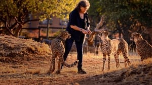 Namibia, Sanctuary of Giants