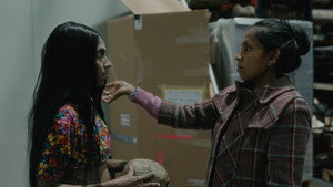 Elephants & Squirrels