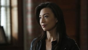 Marvel’s Agents of S.H.I.E.L.D.: 2×13