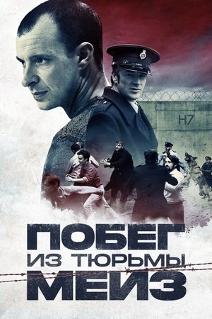 Poster Побег из тюрьмы Мейз 2017