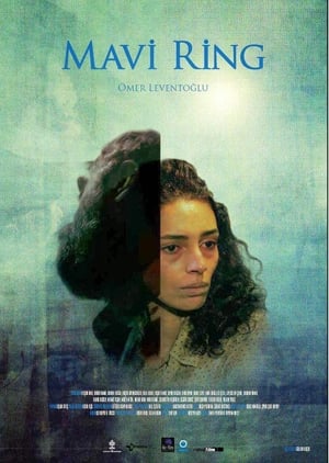 Poster The Blue Van (2013)