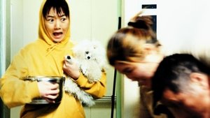Barking Dog