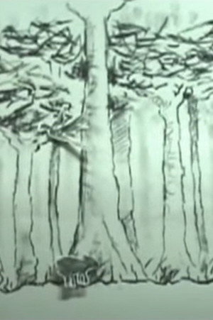 Árboles