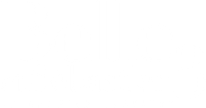 Belle et Sébastien 3 : Le Dernier Chapitre