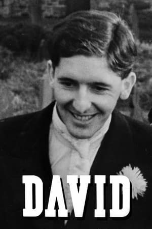 David 1951