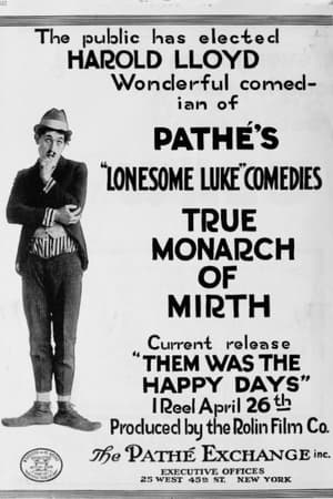 Poster Them Was the Happy Days! (1916)