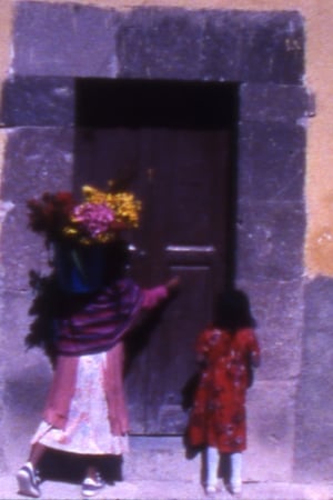 Poster Woman with Flowers (2011)