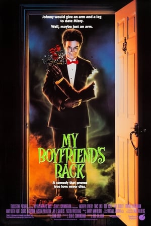 Click for trailer, plot details and rating of My Boyfriend's Back (1993)