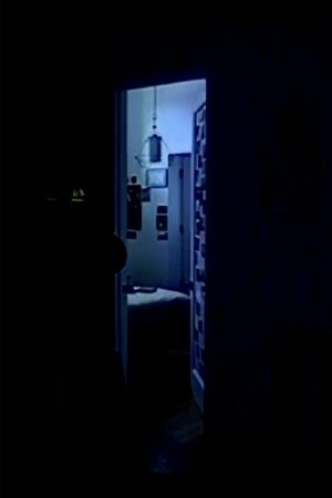 memory consolidation 02 (2025)