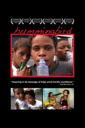 Poster Hummingbird (2004)