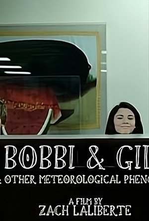 Poster Bobbi & Gill (2017)