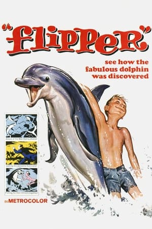Image Flipper