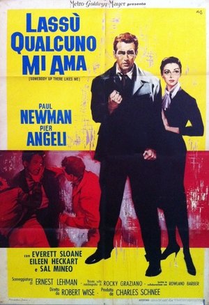 <Images posters