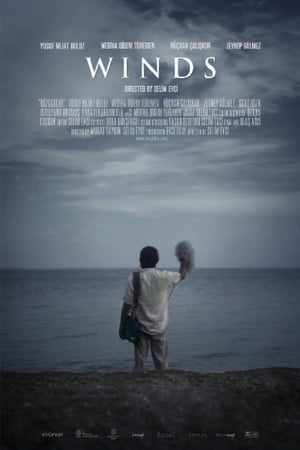 Poster Winds (2013)