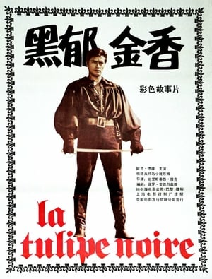 黑郁金香 1964