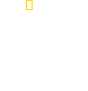 Tucci en Italia — Logos 12