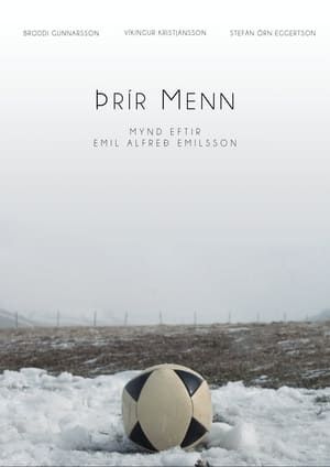 Þrír menn