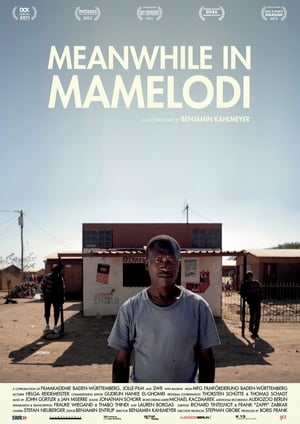 Meanwhile in Mamelodi poster