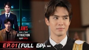 Laws of Attraction Episódio 1 Legendado