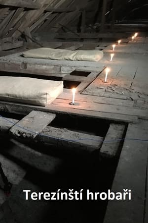 Image Terezínští hrobaři