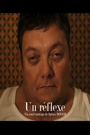 Poster Reflex (2015)