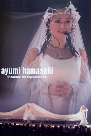 Poster Ayumi Hamasaki: A Museum, 30th single collection live 2004