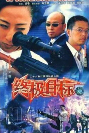 Póster de 终极目标