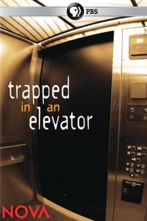 Trapped in an Elevator