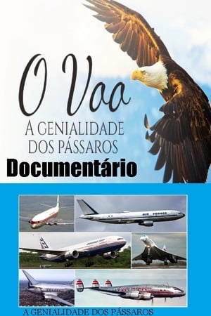 Image Documentário O voo