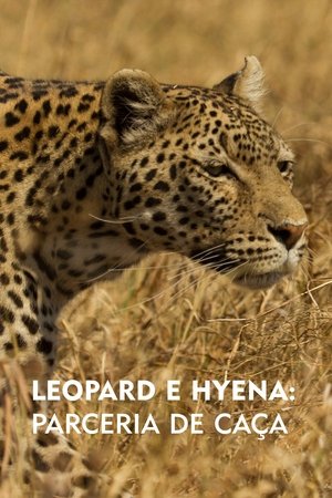 Image Leopard & Hyena: Strange Alliance