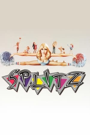 Poster Splitz 1984