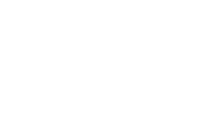 Star Wars: O Despertar da Força — Logos 2