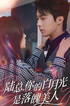 陆总, 你的白月光是落魄美人 - Season 1