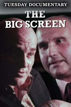 Poster The Big Screen 1973
