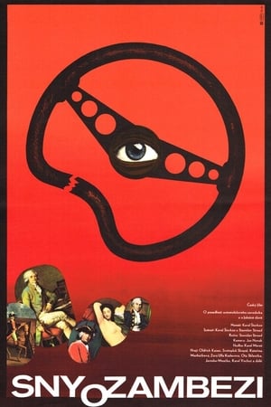 Poster Sny o Zambezi (1982)