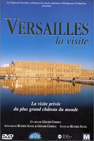 Versailles, the visit poster