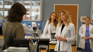 Grey’s Anatomy: 14×14