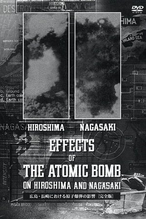 Image 広島・長崎における原子爆弾の影響