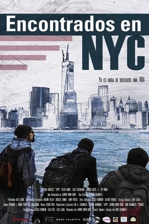 Poster Encontrados en NYC (2013)
