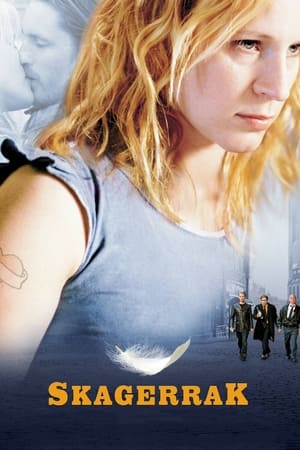 Poster Скагеррак 2003