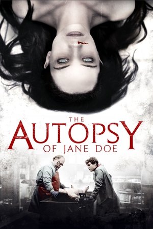 The Autopsy of Jane Doe 2016