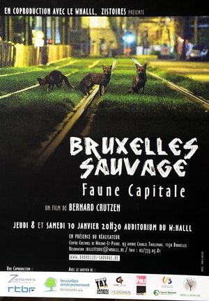 Nonton film Brussels, the Wild Side (2015) terbaru sub indo Nonton film Brussels, the Wild Side (2015) terbaru sub indo