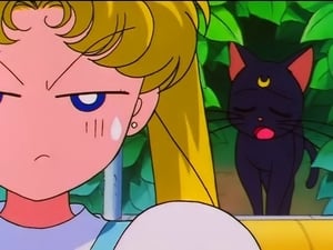 Sailor Moon: 5×15