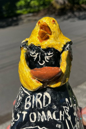 Bird Stomach 3