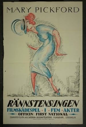 Poster The Hoodlum 1919